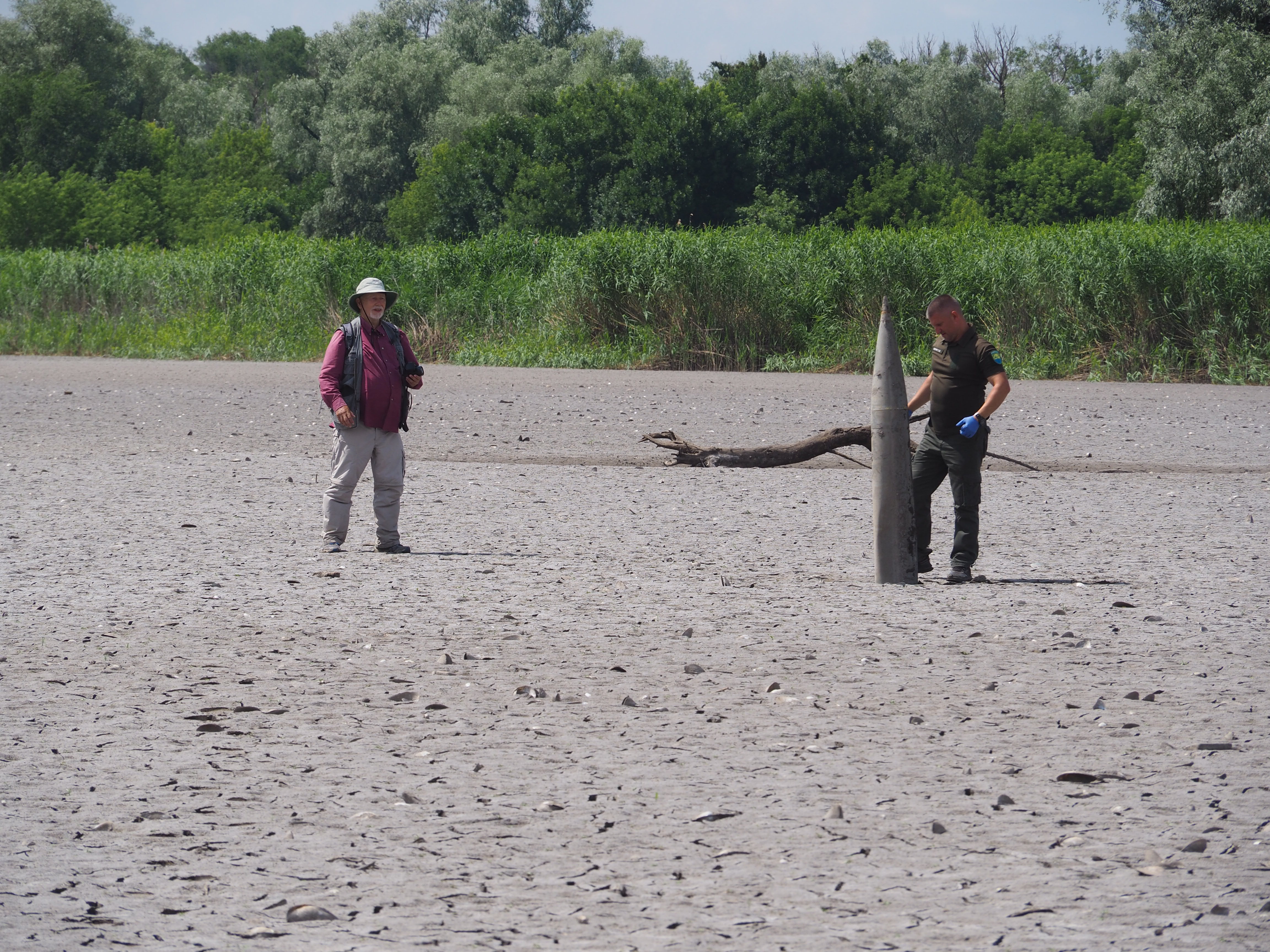 Researches in the field