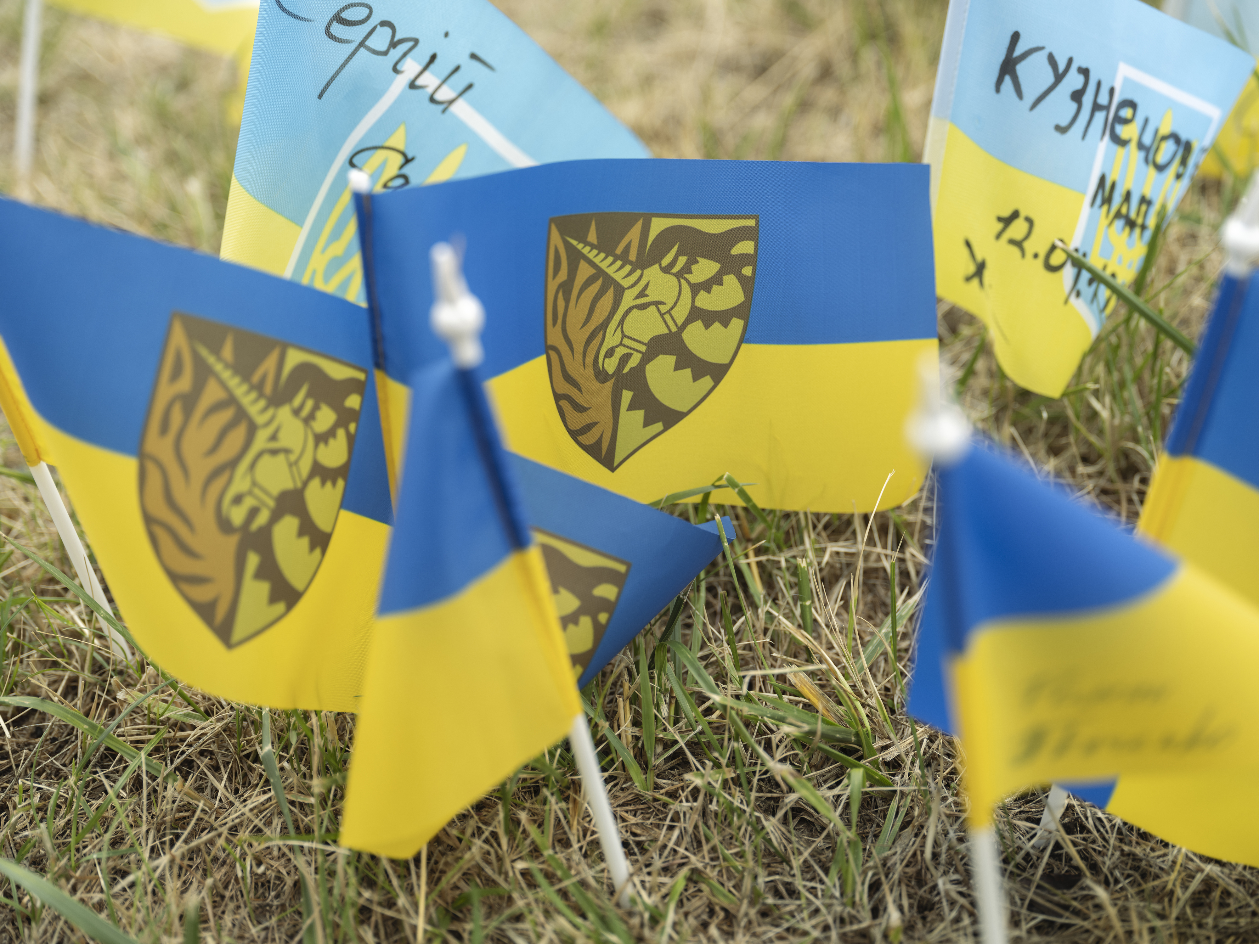 Ukraine flags with Unicorn logo